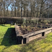A Raised Flower Bed