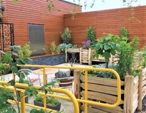 Sensory Garden